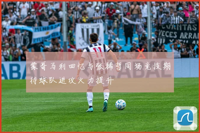 蒙哥马利回忆与张稀哲同场竞技期待球队进攻火力提升